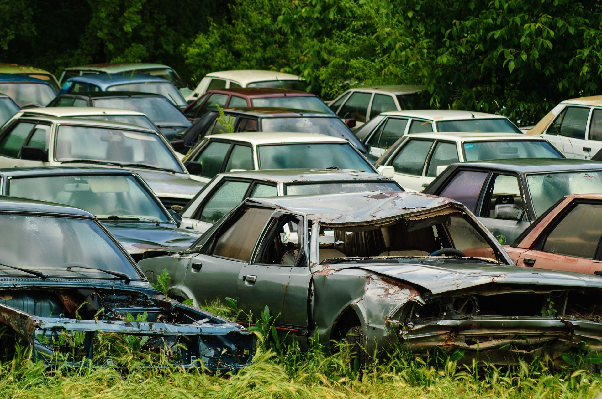 A collection of vintage cars, damaged and abandoned in a lush green junkyard.